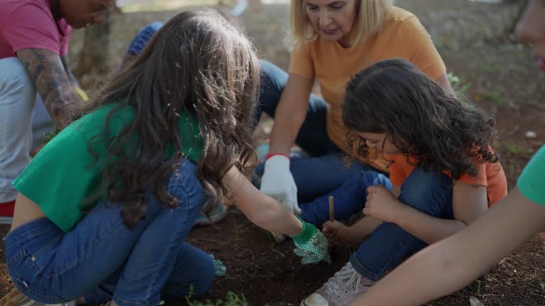 Mulching Services